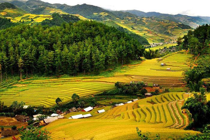 Mai Chau landscape